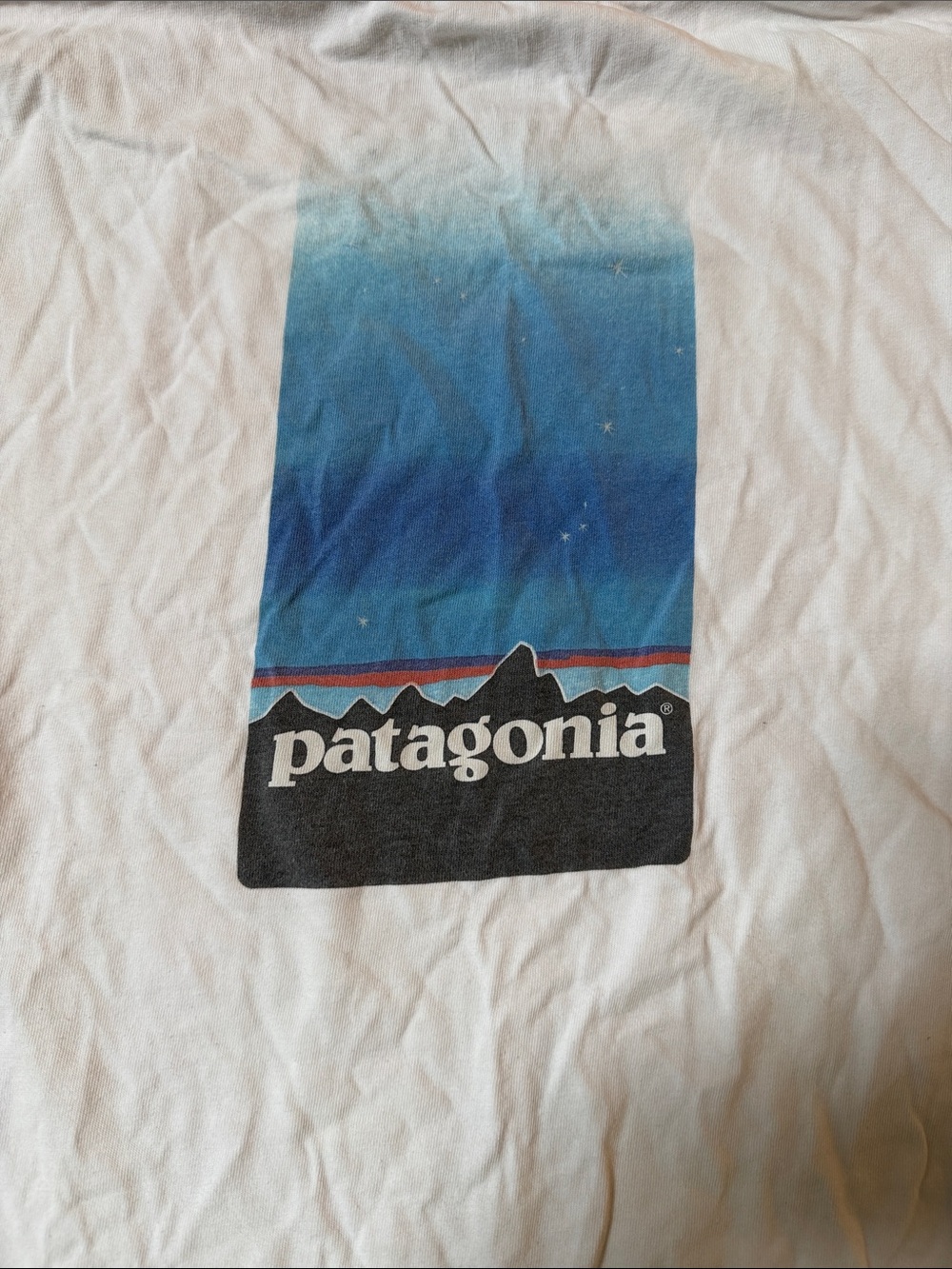 Patagonia White Long-Sleeve Crew Shirt